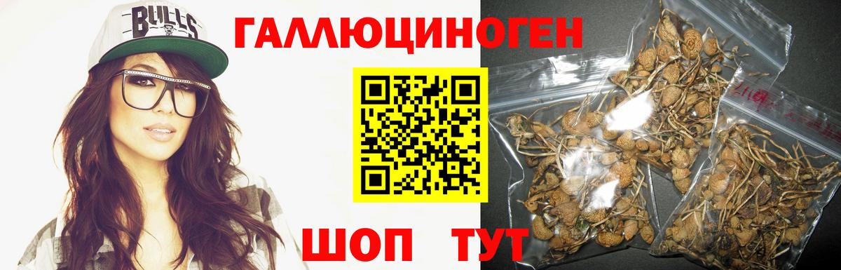 Вязники  Галлюциногенные грибы мухоморы  Вход с VPN 
